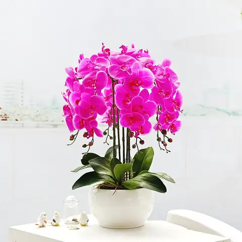 Cách Cắm Hoa Lan Nhựa Đẹp