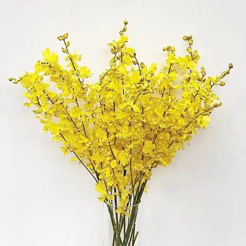 Cách Cắm Hoa Lan Trong Bình