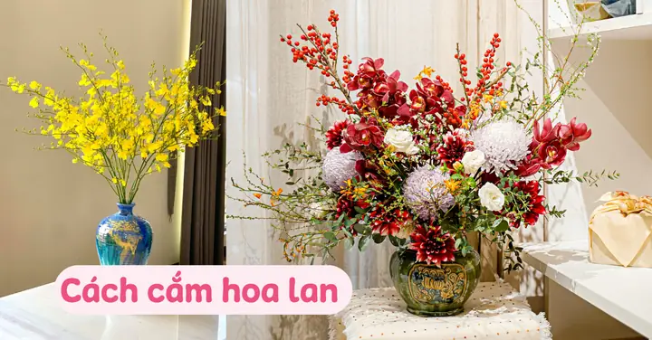 Cách Cắm Hoa Lan Trong Bình