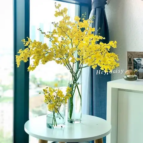Cách Cắm Hoa Lan Vũ Nữ Đẹp