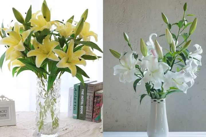 Cách Cắm Hoa Ly Vàng Đẹp