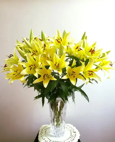Cách Cắm Hoa Ly Vàng Đẹp