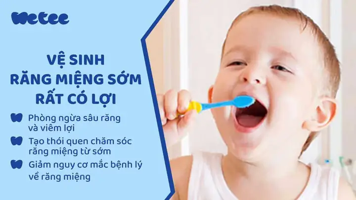 Cách Chăm Sóc Răng Cho Bé 1 Tuổi