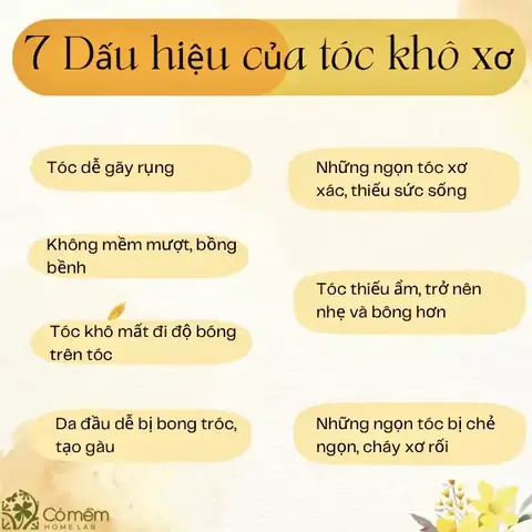 Cách Chăm Sóc Tóc Xơ Tại Nhà