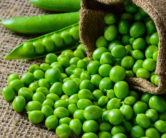 Cách Chế Biến Hạt Đậu Hà Lan Tươi