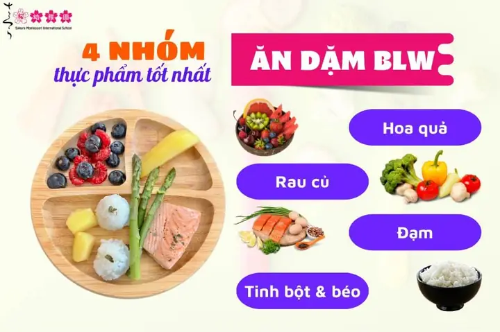 Cách Chế Biến Thực Đơn Ăn Dặm Cho Bé Cách Chế Biến Thực Đơn Ăn Dặm Cho Bé
