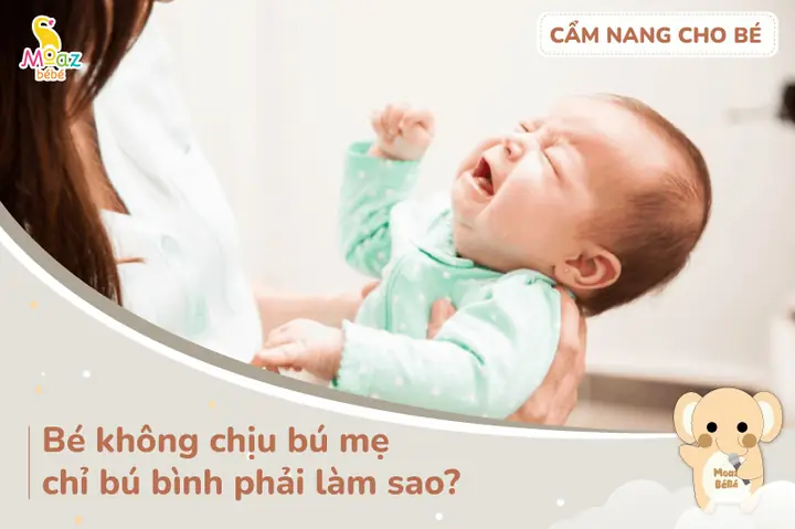 Cách Cho Trẻ Chịu Bú Bình