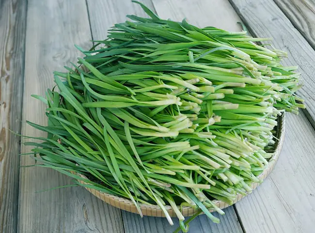Cách Chữa Ho Hiệu Quả Cho Bé