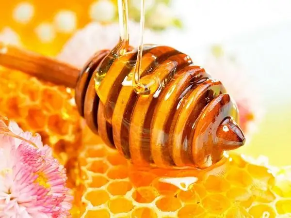 Cách Chữa Nhiệt Miệng Bằng Mật Ong