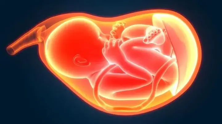 Cách Chữa Thiếu Nước Ối Ở Bà Bầu
