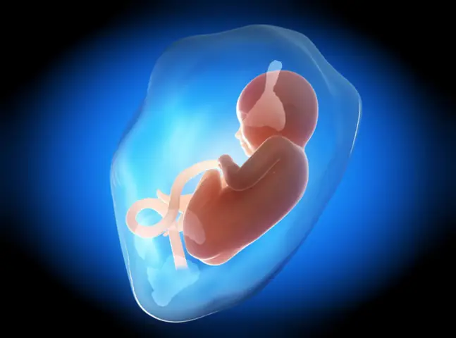 Cách Chữa Thiếu Nước Ối Ở Bà Bầu