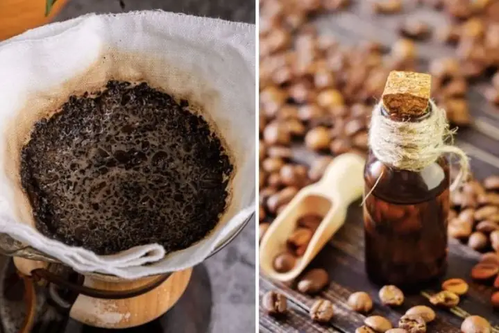 Cách Chưng Cất Tinh Dầu Cà Phê