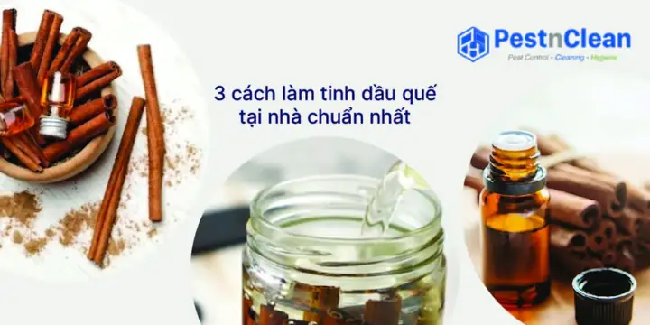 Cách Chưng Cất Tinh Dầu Quế Tại Nhà