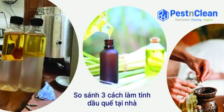 Cách Chưng Cất Tinh Dầu Quế Tại Nhà