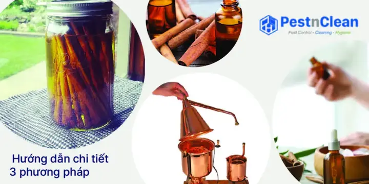 Cách Chưng Cất Tinh Dầu Quế Tại Nhà