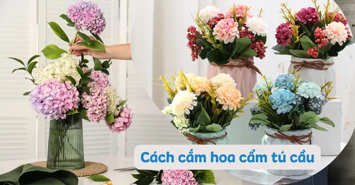 Cách Chưng Hoa Cẩm Tú Cầu