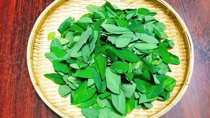 Cách Đánh Tưa Lưỡi Bằng Rau Ngót