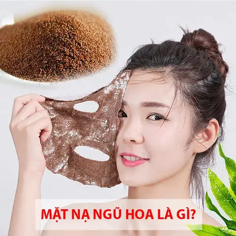 Cách Đắp Mặt Nạ Nhũ Hoa