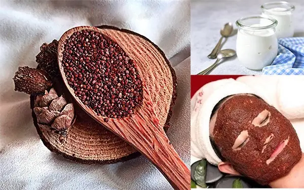 Cách Đắp Mặt Nạ Nhũ Hoa