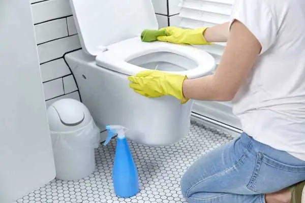 Cách Diệt Khuẩn Nhà Vệ Sinh