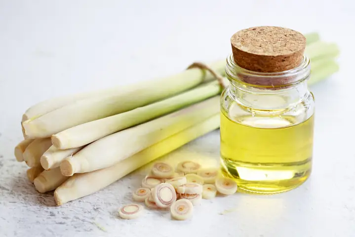 Cách Điều Chế Tinh Dầu Sả