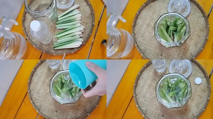 Cách Điều Chế Tinh Dầu Sả