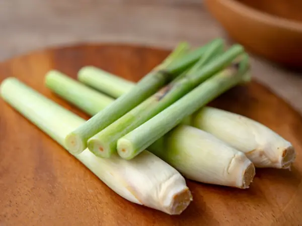 Cách Điều Chế Tinh Dầu Sả