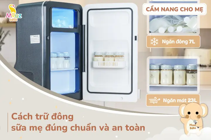 Cách Dùng Sữa Trữ Đông Cho Bé