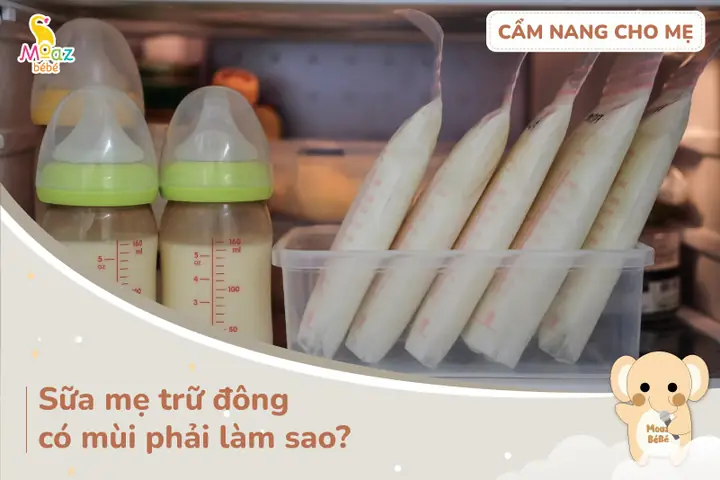 Cách Dùng Sữa Trữ Đông Cho Bé