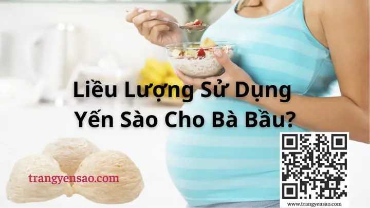 Cách Dùng Yến Sào Cho Bà Bầu