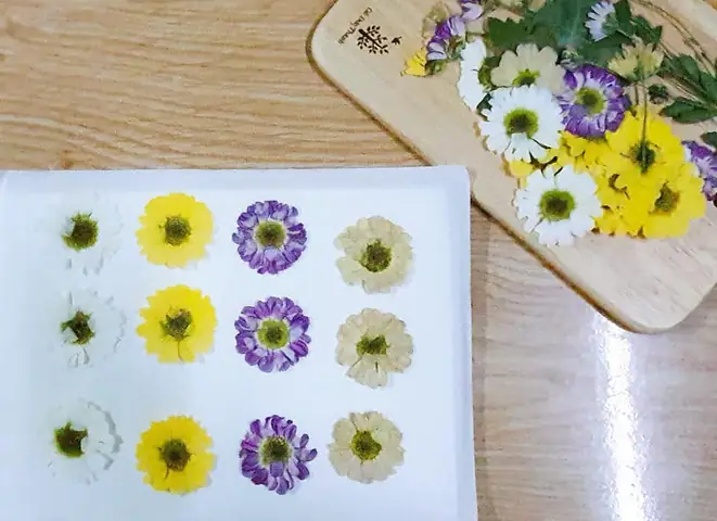 Cách Ép Hoa Khô Giữ Màu
