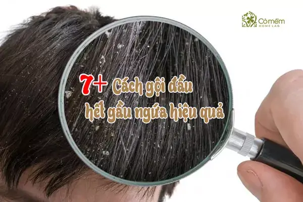 Cách Gội Đầu Để Hết Gàu