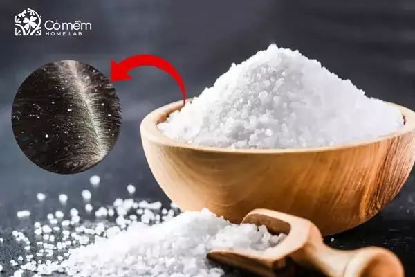 Cách Gội Đầu Để Hết Gàu