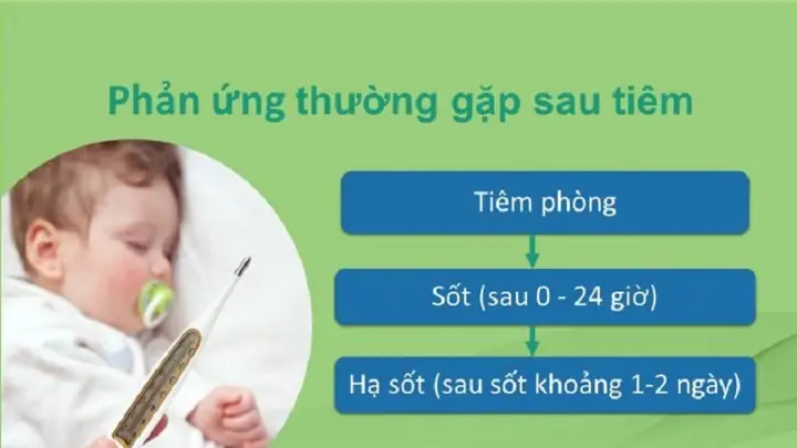 Cách Hạ Sốt Cho Bé Khi Chích Ngừa