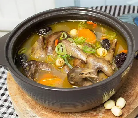 Cách Hầm Chim Bồ Câu Ngon Cho Bé Cách Hầm Chim Bồ Câu Ngon Cho Bé