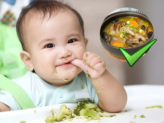 Cách Hầm Chim Bồ Câu Ngon Cho Bé