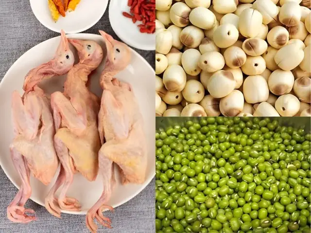 Cách Hầm Chim Bồ Câu Ngon Cho Bé Cách Hầm Chim Bồ Câu Ngon Cho Bé