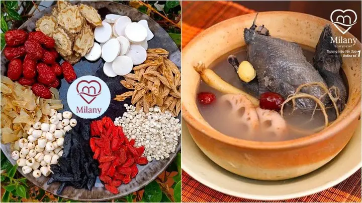 Cách Hầm Gà Ác Thuốc Bắc Cho Bà Bầu