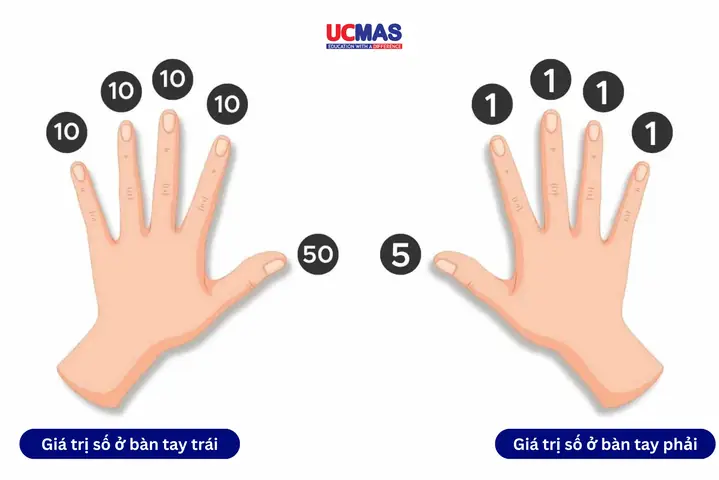 Cách Học Toán Bằng Ngón Tay