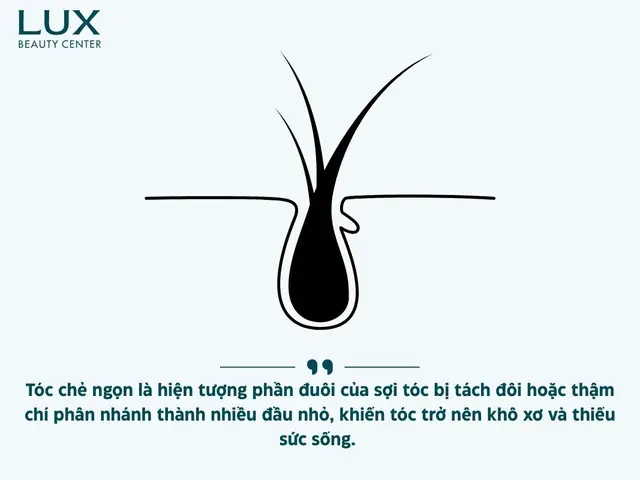 Cách Khắc Phục Tóc Xơ Chẻ Ngọn