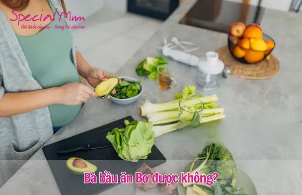 Cách Làm Bơ Dầm Cho Bà Bầu