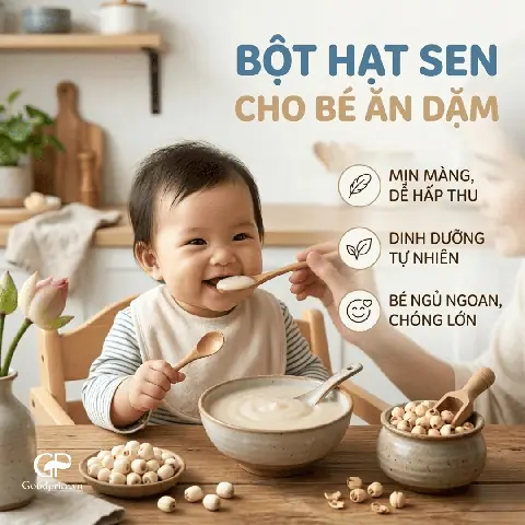 Cách Làm Bột Hạt Sen Cho Trẻ Ăn Dặm