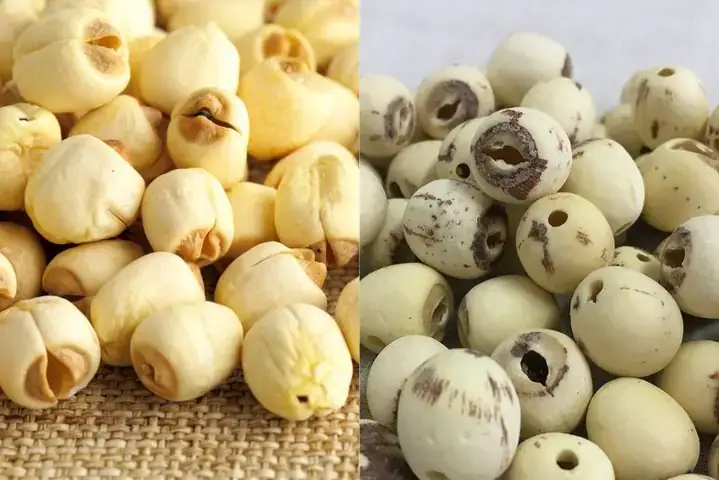 Cách Làm Bột Hạt Sen Cho Trẻ Ăn Dặm