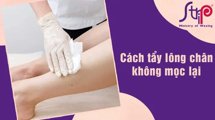 Cách Làm Cho Lông Chân Không Mọc Lại