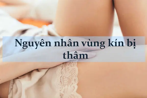 Cách Làm Cho Vùng Kín Hết Thâm Cách Làm Cho Vùng Kín Hết Thâm