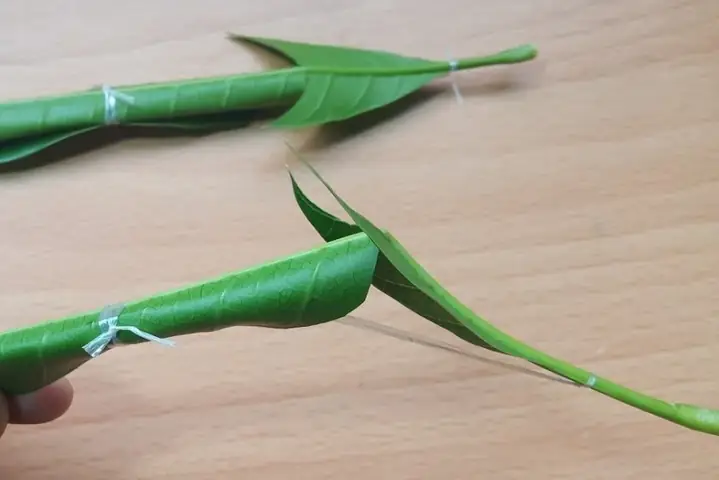 Cách Làm Đồ Chơi Rau Củ Quả