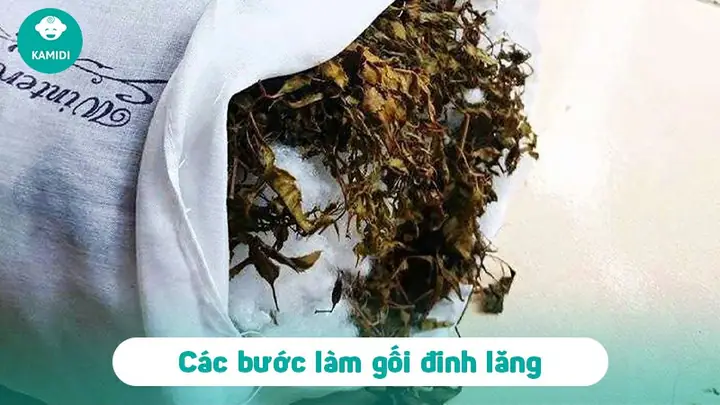 Cách Làm Gối Bằng Lá Đinh Lăng Cho Trẻ