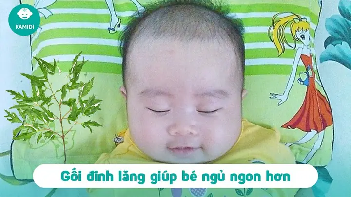 Cách Làm Gối Bằng Lá Đinh Lăng Cho Trẻ