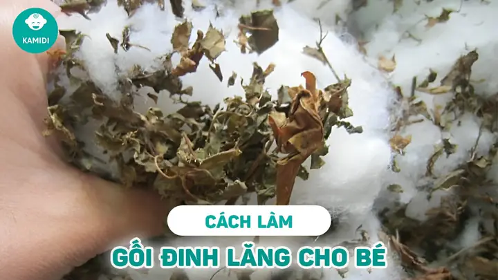 Cách Làm Gối Đinh Lăng Cho Bé Ngủ Cách Làm Gối Đinh Lăng Cho Bé Ngủ