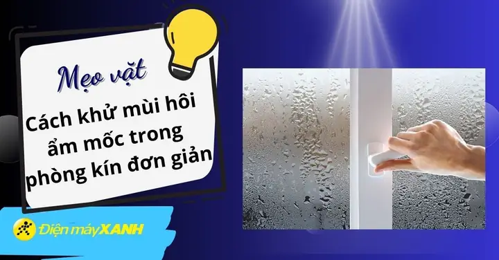 Cách Làm Hết Mùi Ẩm Mốc Trong Phòng